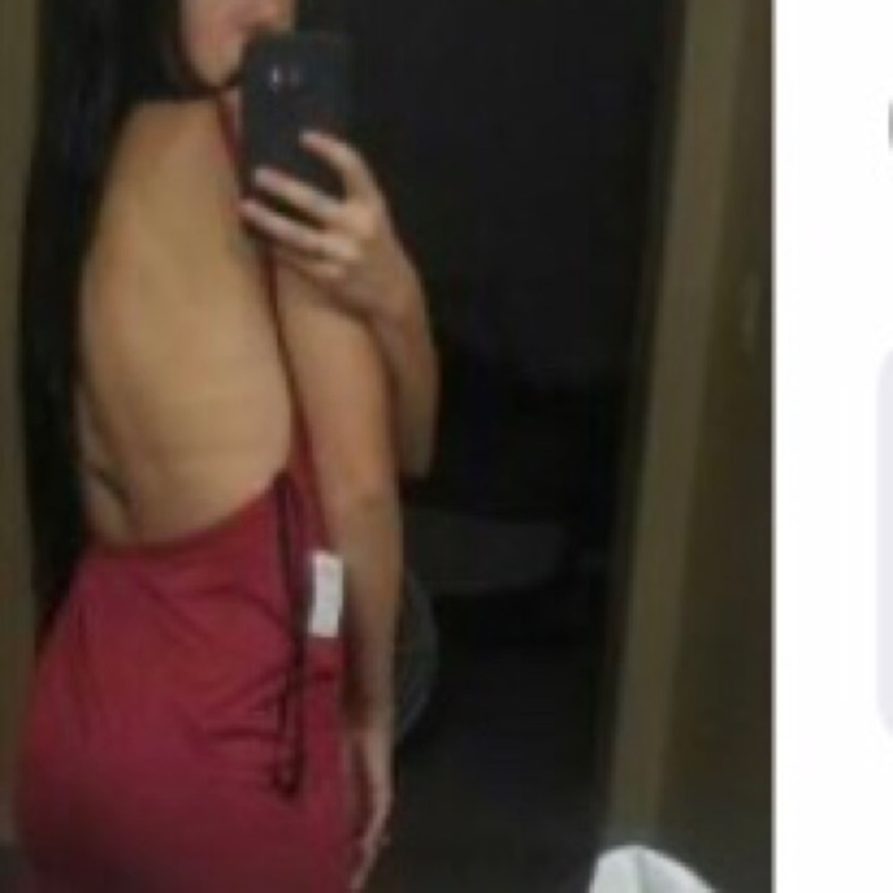 NWOT Windsor Suede Dress W/open back